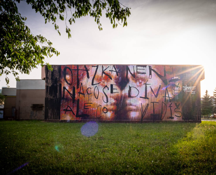 ONER MĚSTO=GALERIE MĚSTO=GALERIE – český street art festival proměňující veřejný prostor v otevřenou galerii.