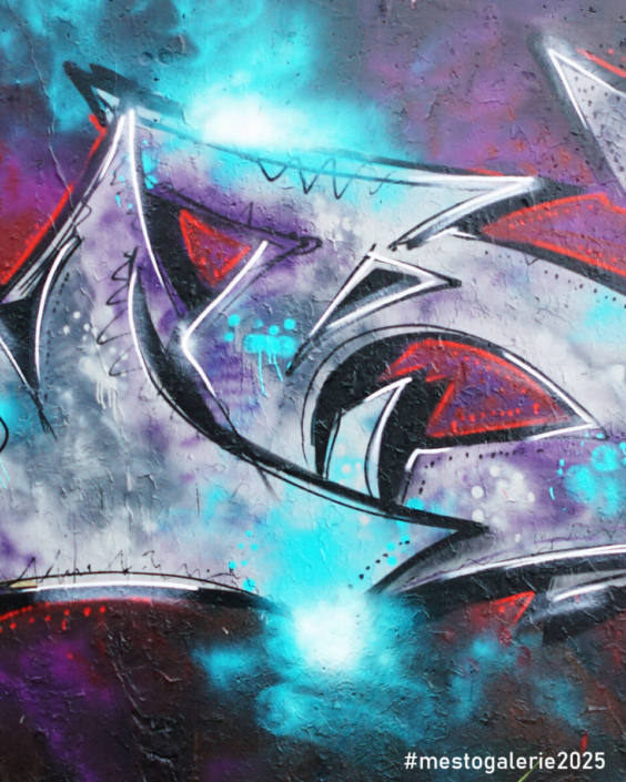 MĚSTO=GALERIE Turnov 2025 VIP ZÓNA report