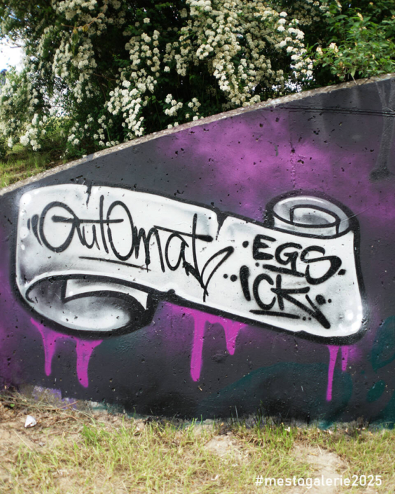 MĚSTO=GALERIE Turnov 2025 VIP ZÓNA report