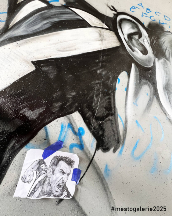 MĚSTO=GALERIE Turnov 2025 VIP ZÓNA report