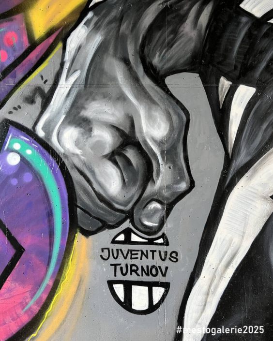 MĚSTO=GALERIE Turnov 2025 VIP ZÓNA report