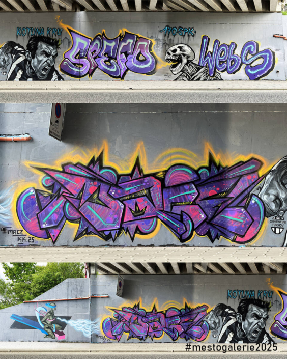 MĚSTO=GALERIE Turnov 2025 VIP ZÓNA report