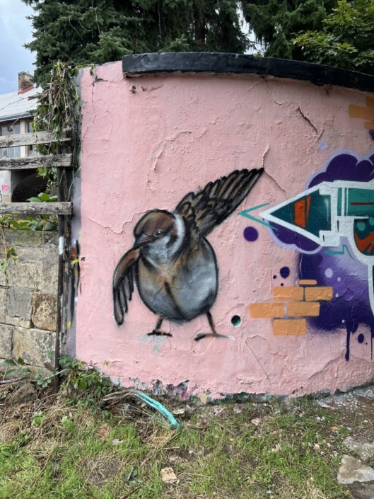 MĚSTO=GALERIE Poděbrady 2025 LOOP COLORS GRAFFITI SESSIONS report