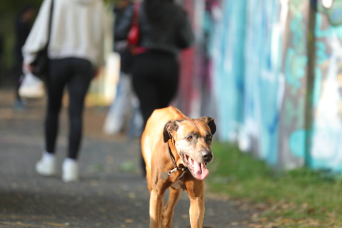 MĚSTO=GALERIE Dvůr Králové nad Labem 2025 EVENT report MĚSTO=GALERIE Dvůr Králové nad Labem 2025 EVENT report